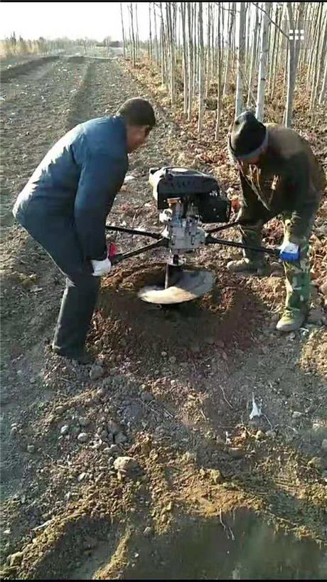 小型钻坑机在种树钻窝中显奇效
