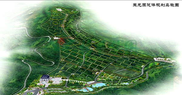 云顶集团(中国区)官方网站