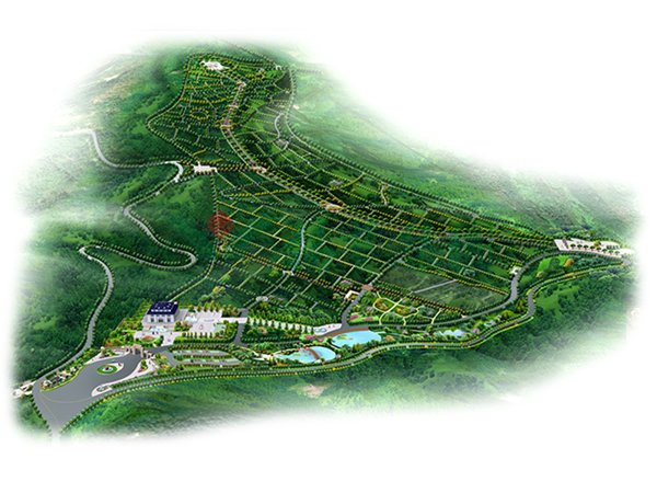 云顶集团(中国区)官方网站