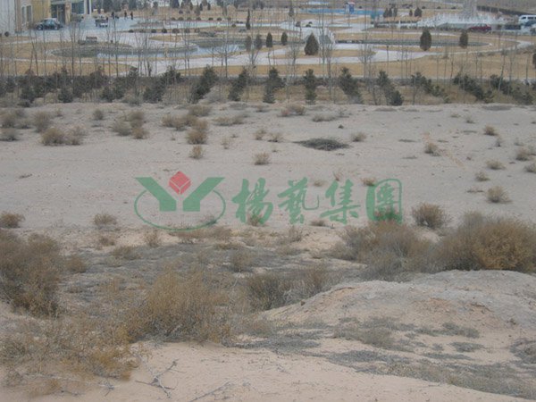 云顶集团(中国区)官方网站