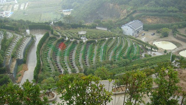 云顶集团(中国区)官方网站