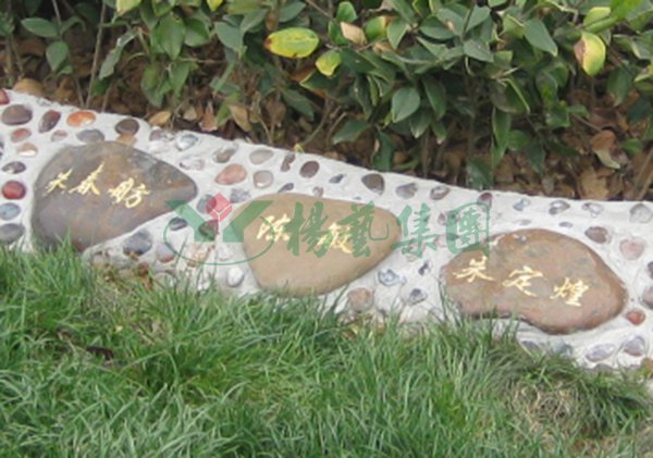 云顶集团(中国区)官方网站