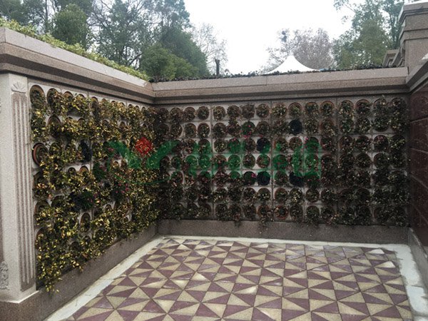 云顶集团(中国区)官方网站