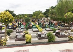 上；懔靶腔鹎