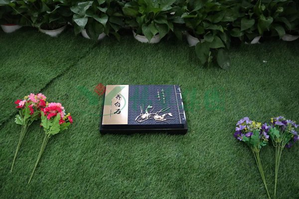 云顶集团(中国区)官方网站