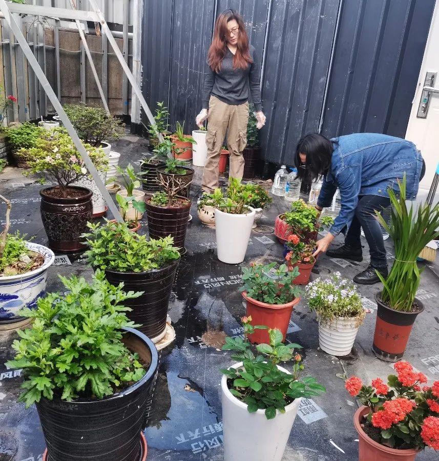 云顶集团(中国区)官方网站