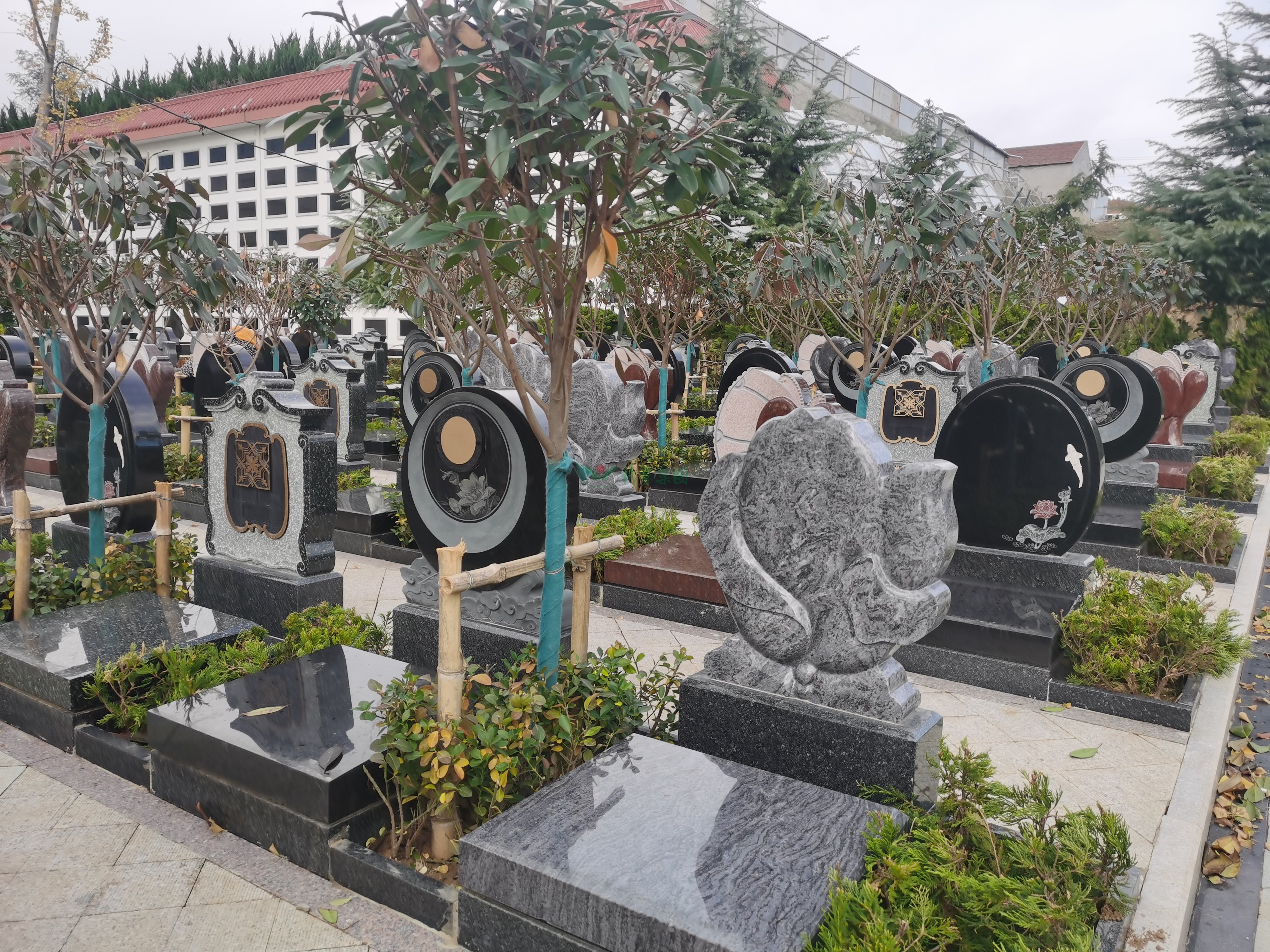 云顶集团(中国区)官方网站