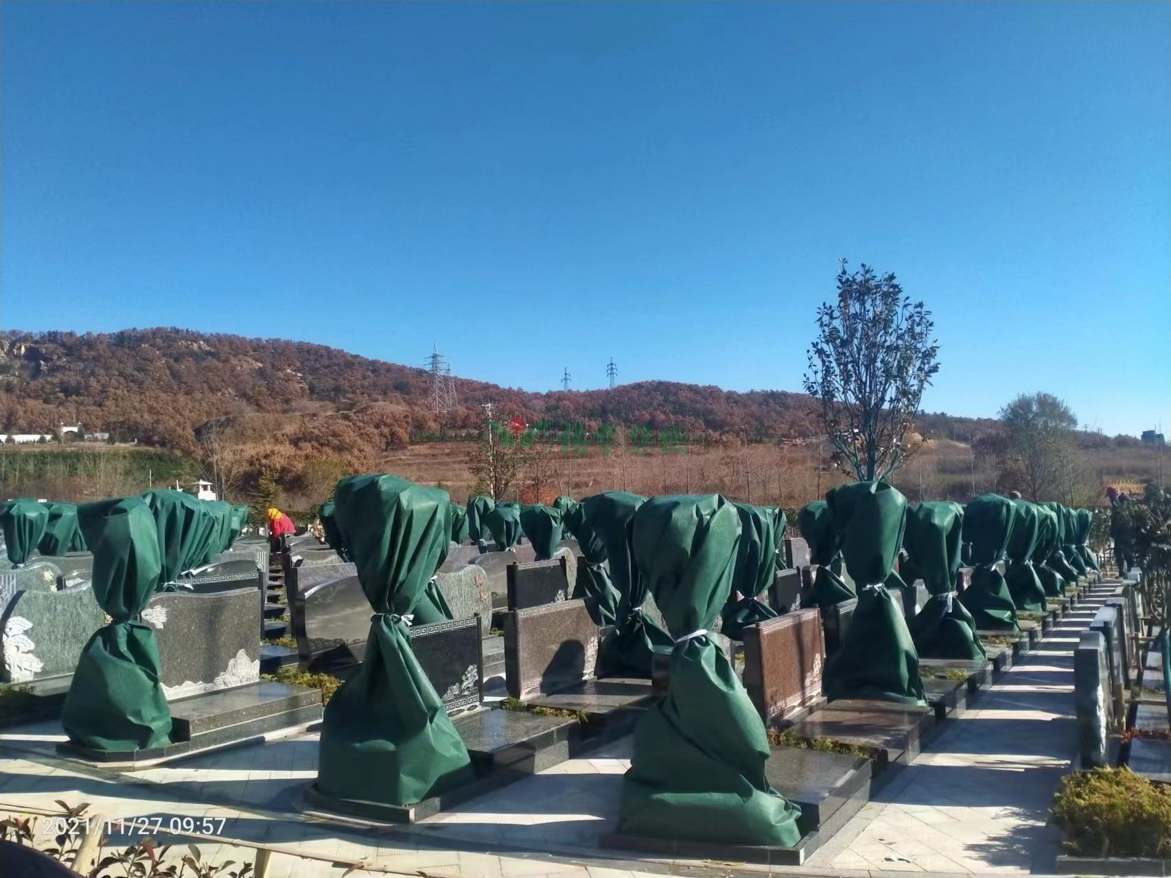 云顶集团(中国区)官方网站