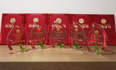 “云顶集团杯”浙江省节地生态埋葬设计作品奖