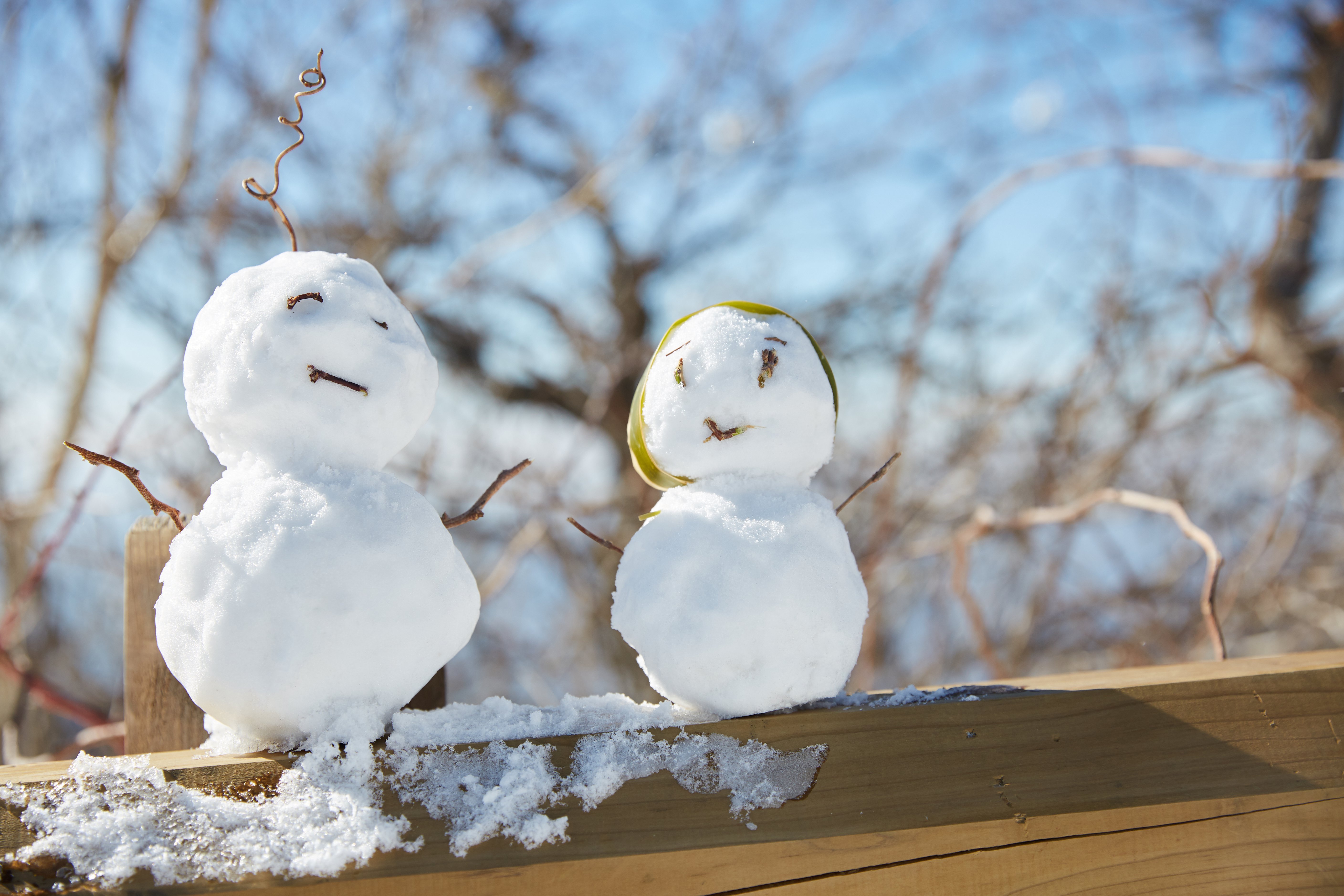 冬至，暖“杨”相伴 | 云顶集团人全力配合各墓园冬至落葬