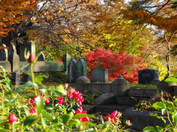 云顶集团(中国区)官方网站