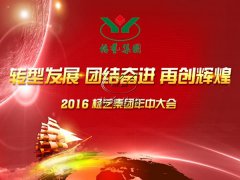 【2016年云顶集团年中会正在召开中~】全员充电培训