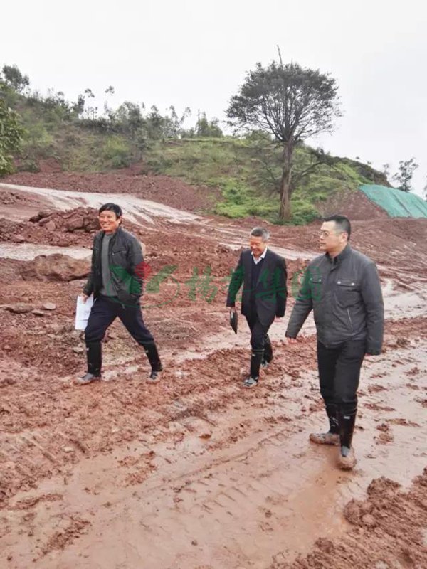 云顶集团(中国区)官方网站