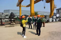 云顶集团集团匠心打造景观雕塑型生产基地