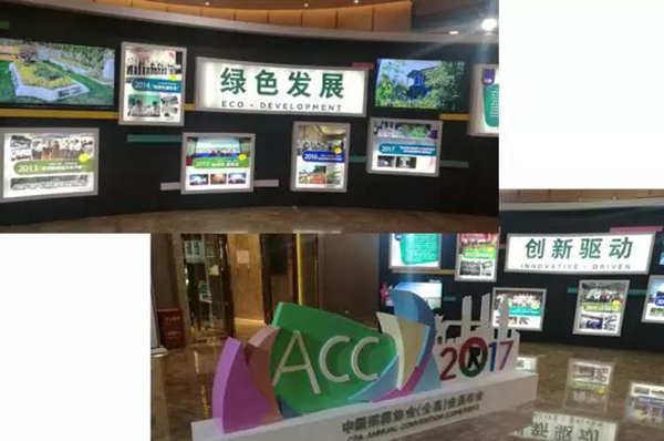 云顶集团(中国区)官方网站