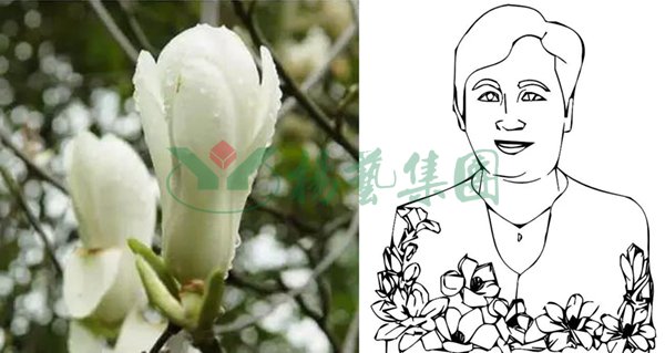 云顶集团(中国区)官方网站