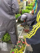 【云顶集团人别样清明】2018年清明落葬事情圆满完成