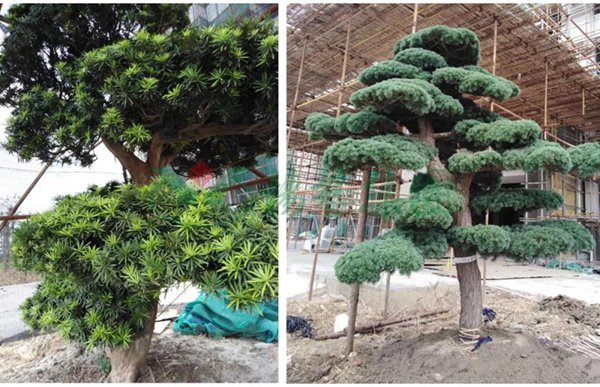 云顶集团(中国区)官方网站