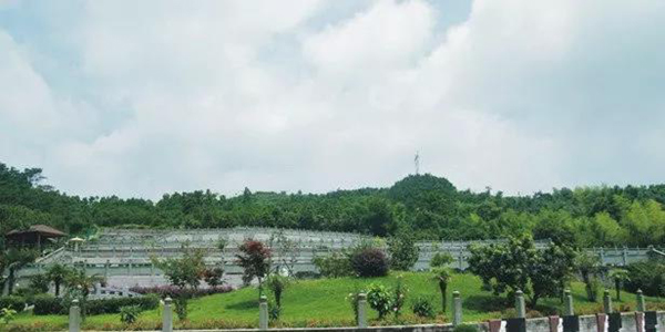 云顶集团(中国区)官方网站