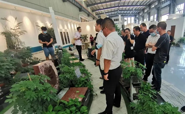 云顶集团(中国区)官方网站