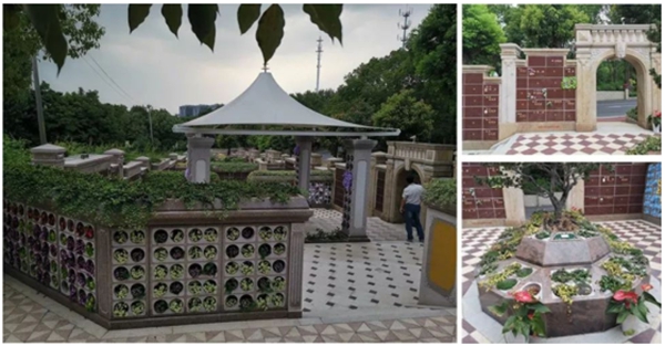 云顶集团(中国区)官方网站