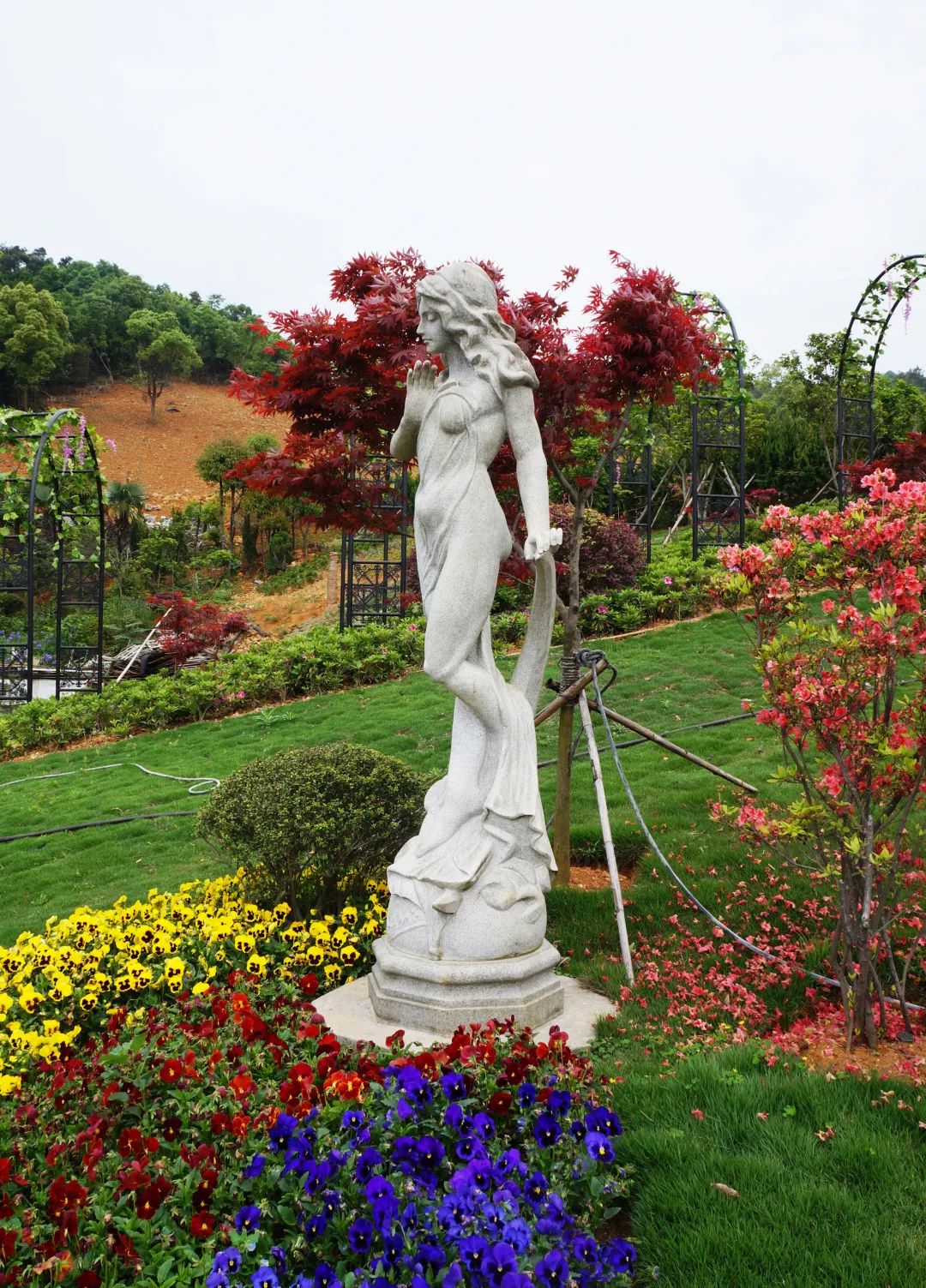 云顶集团(中国区)官方网站