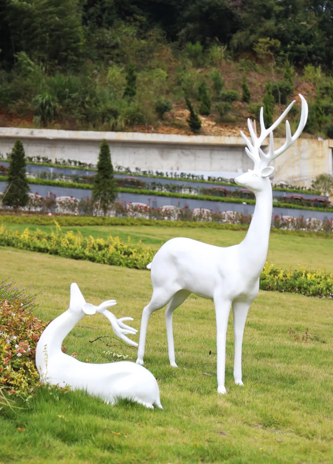 云顶集团(中国区)官方网站