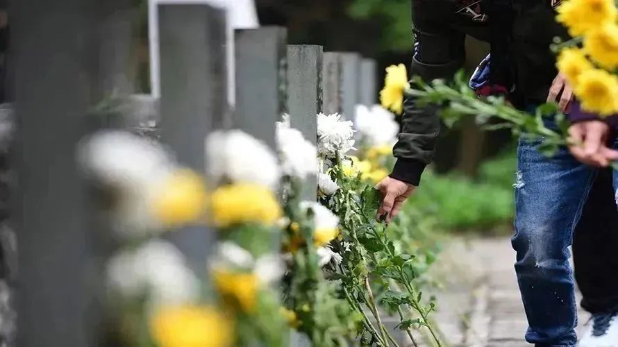 云顶集团(中国区)官方网站