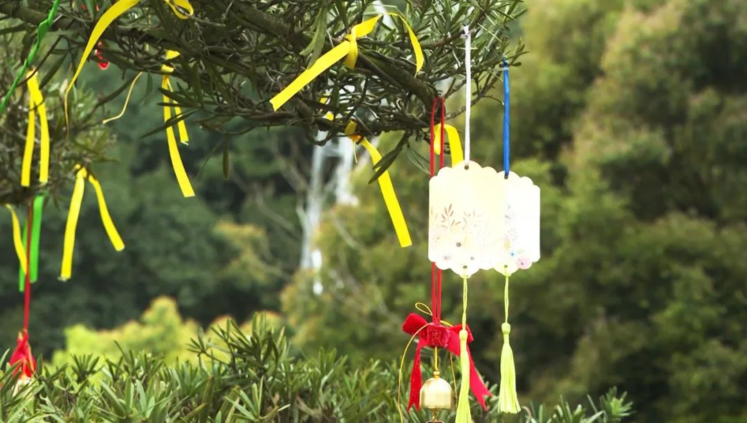 云顶集团(中国区)官方网站