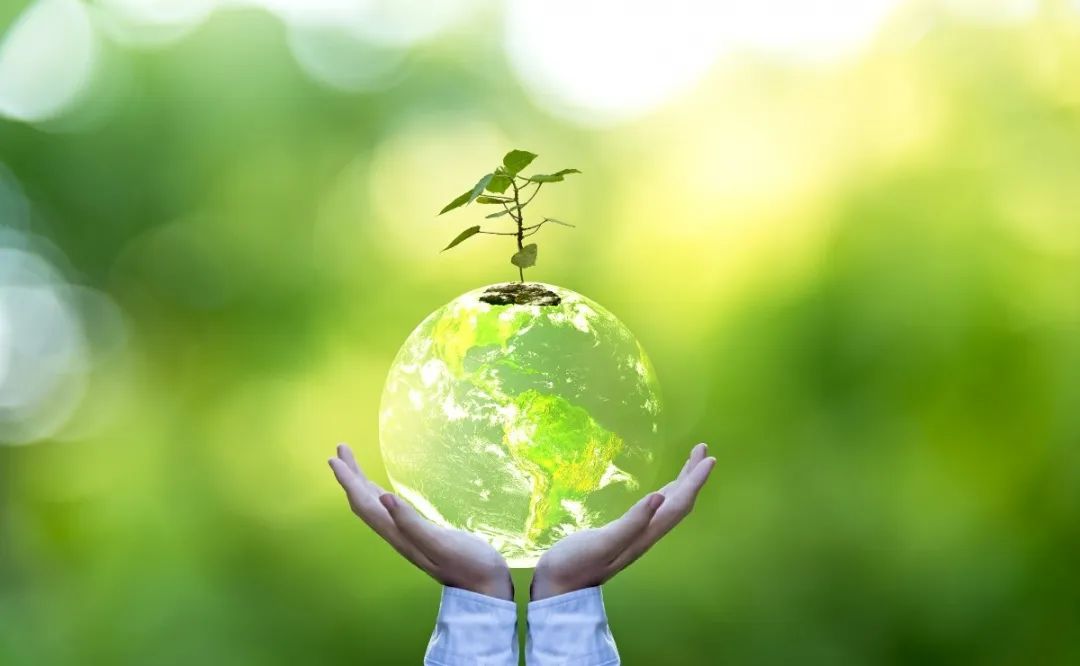 云顶集团(中国区)官方网站