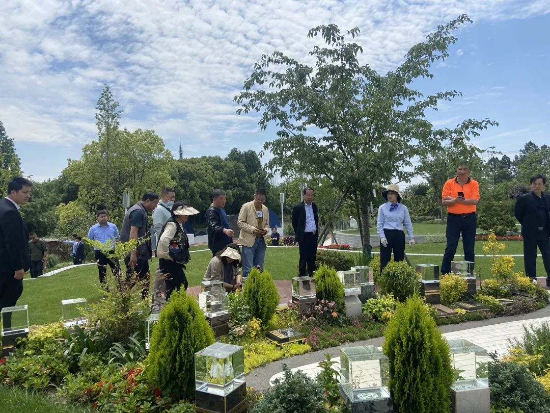 云顶集团(中国区)官方网站