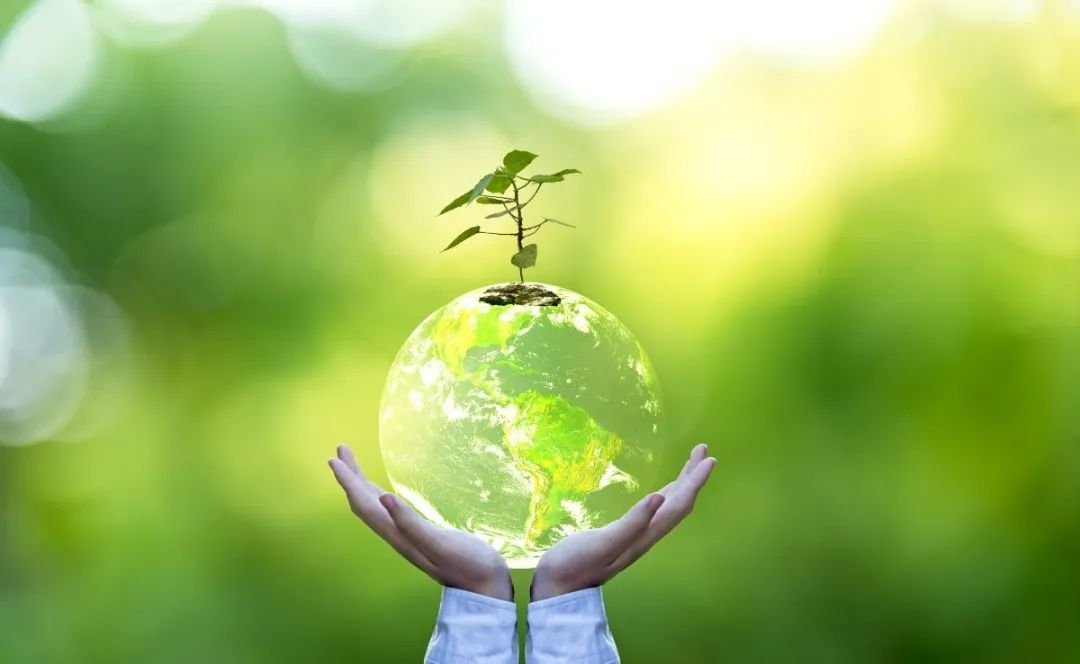 云顶集团(中国区)官方网站