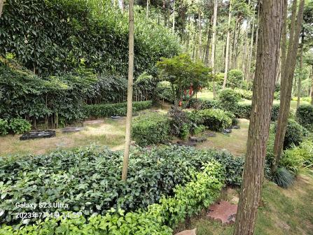 云顶集团(中国区)官方网站