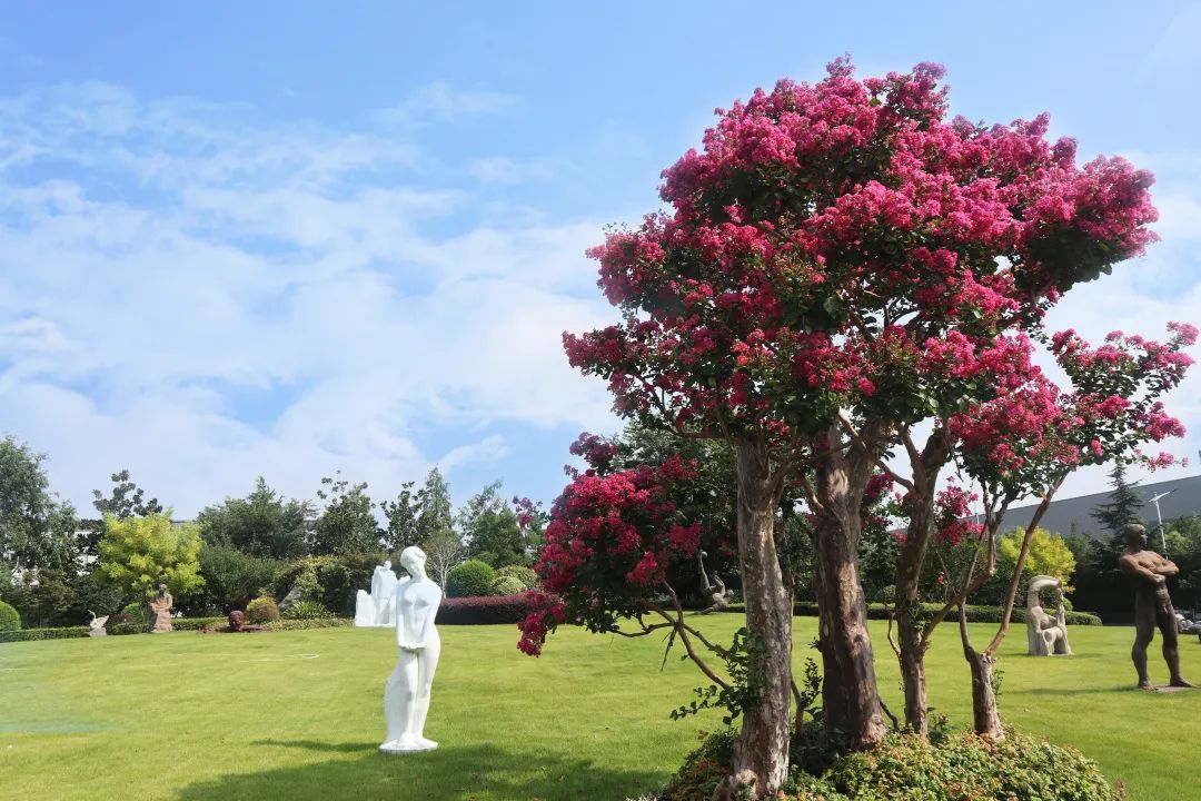 云顶集团(中国区)官方网站