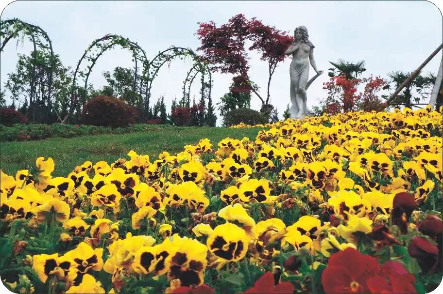 云顶集团(中国区)官方网站