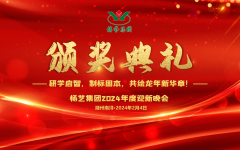 2024年云顶集团集团迎新春年会暨颁奖仪式盛放纵行