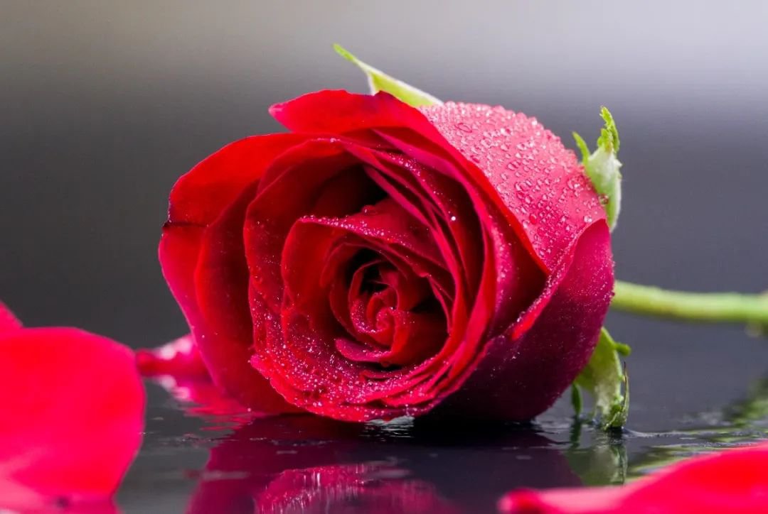 女神节 | 致敬“她”实力，共筑优美未来