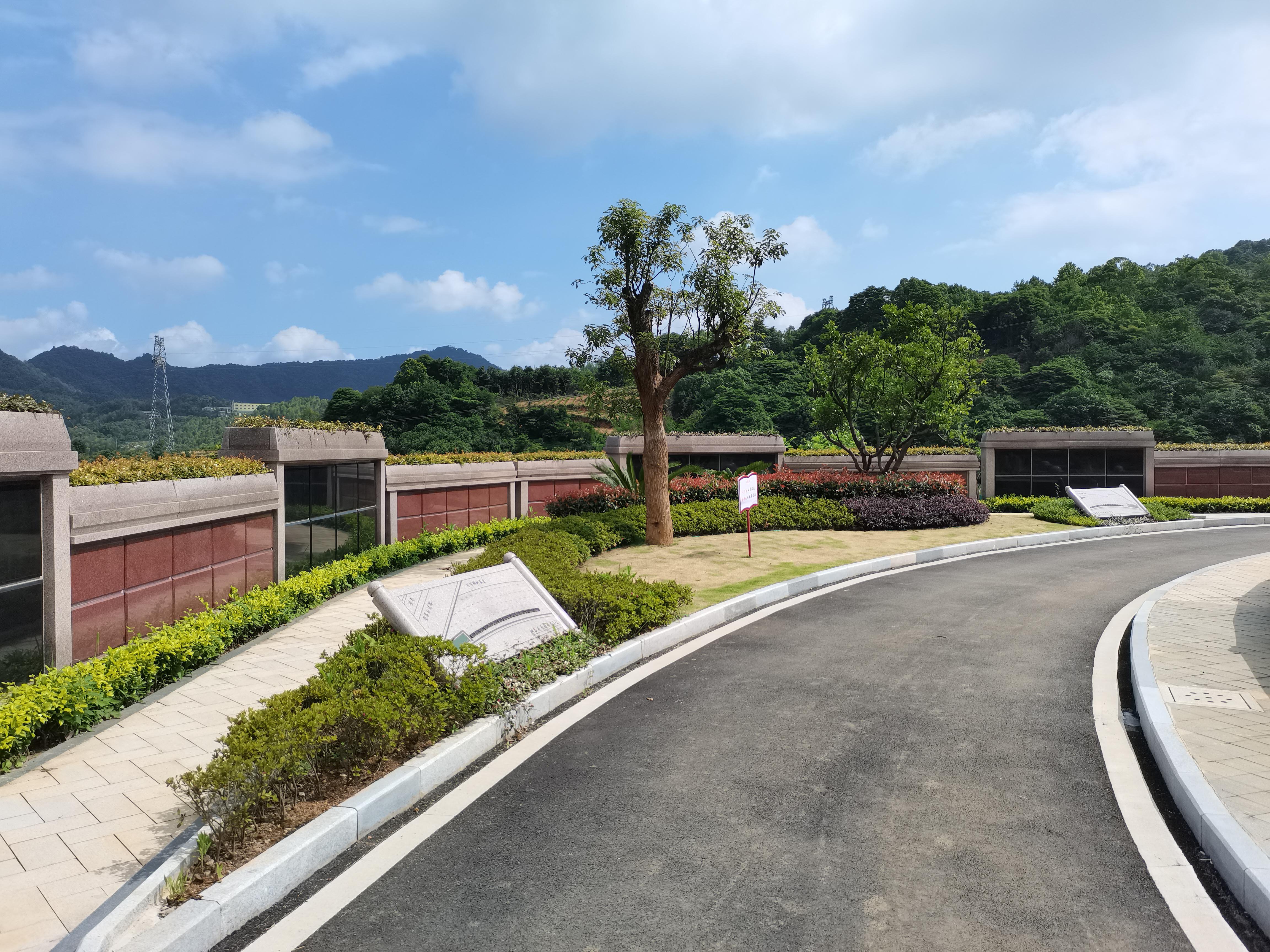 海葬和树葬哪个好？两种生态葬祭方法的选择与意义