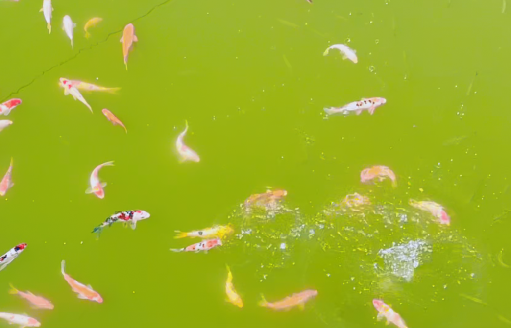 云顶集团(中国区)官方网站