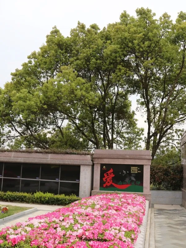 云顶集团(中国区)官方网站