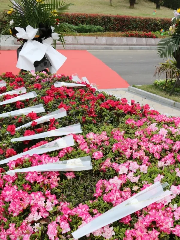 云顶集团(中国区)官方网站