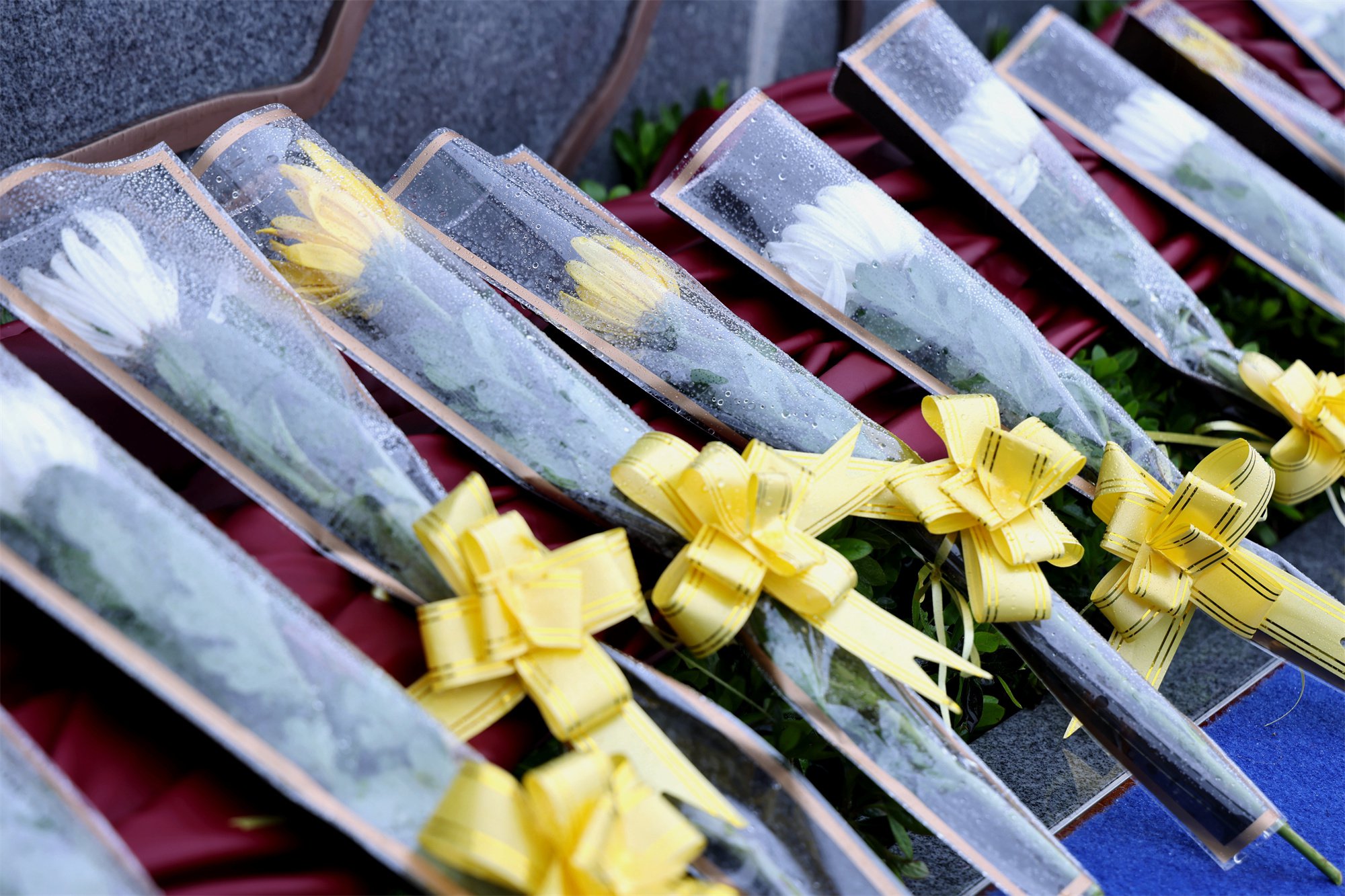 云顶集团(中国区)官方网站