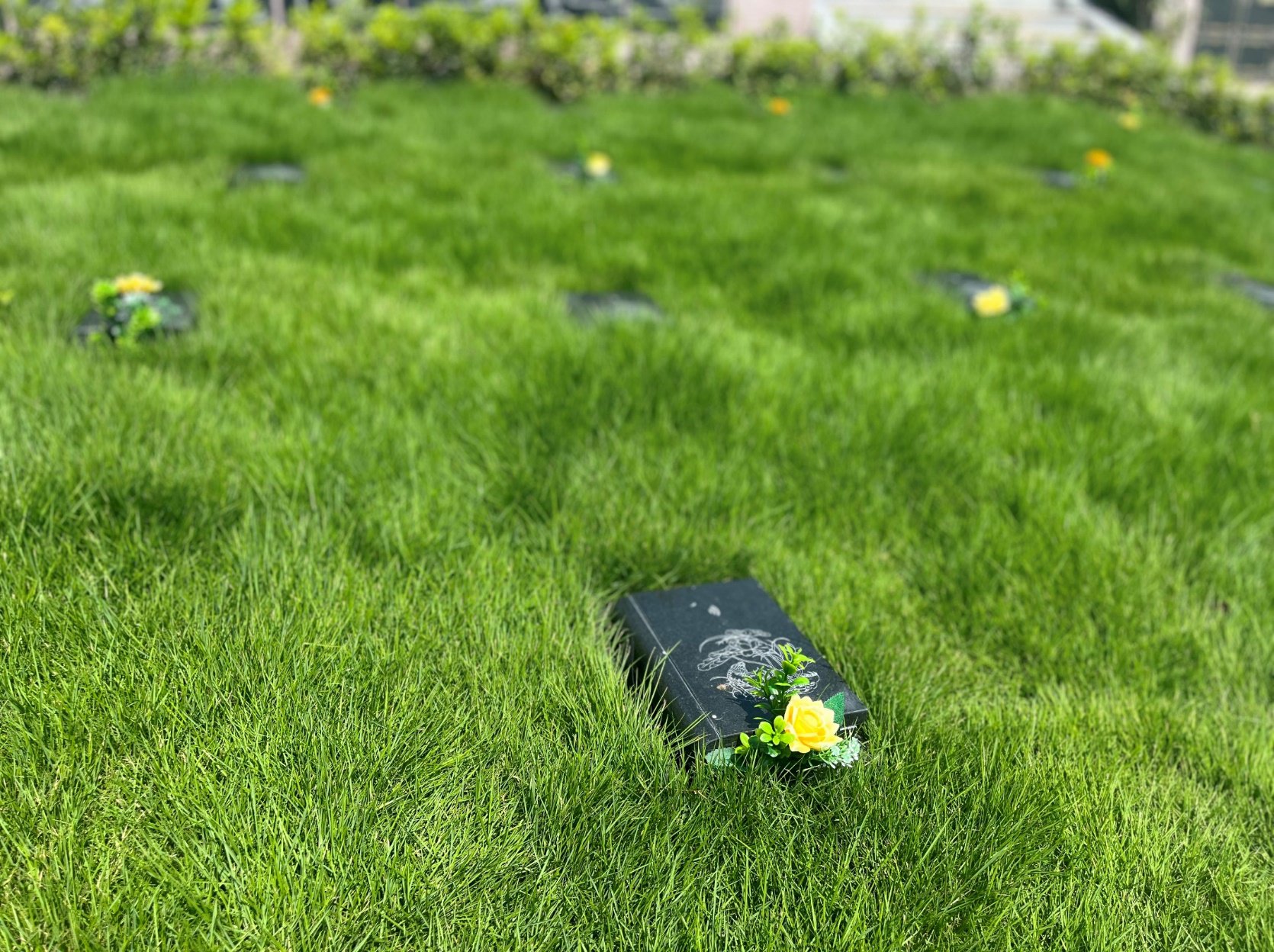 云顶集团(中国区)官方网站