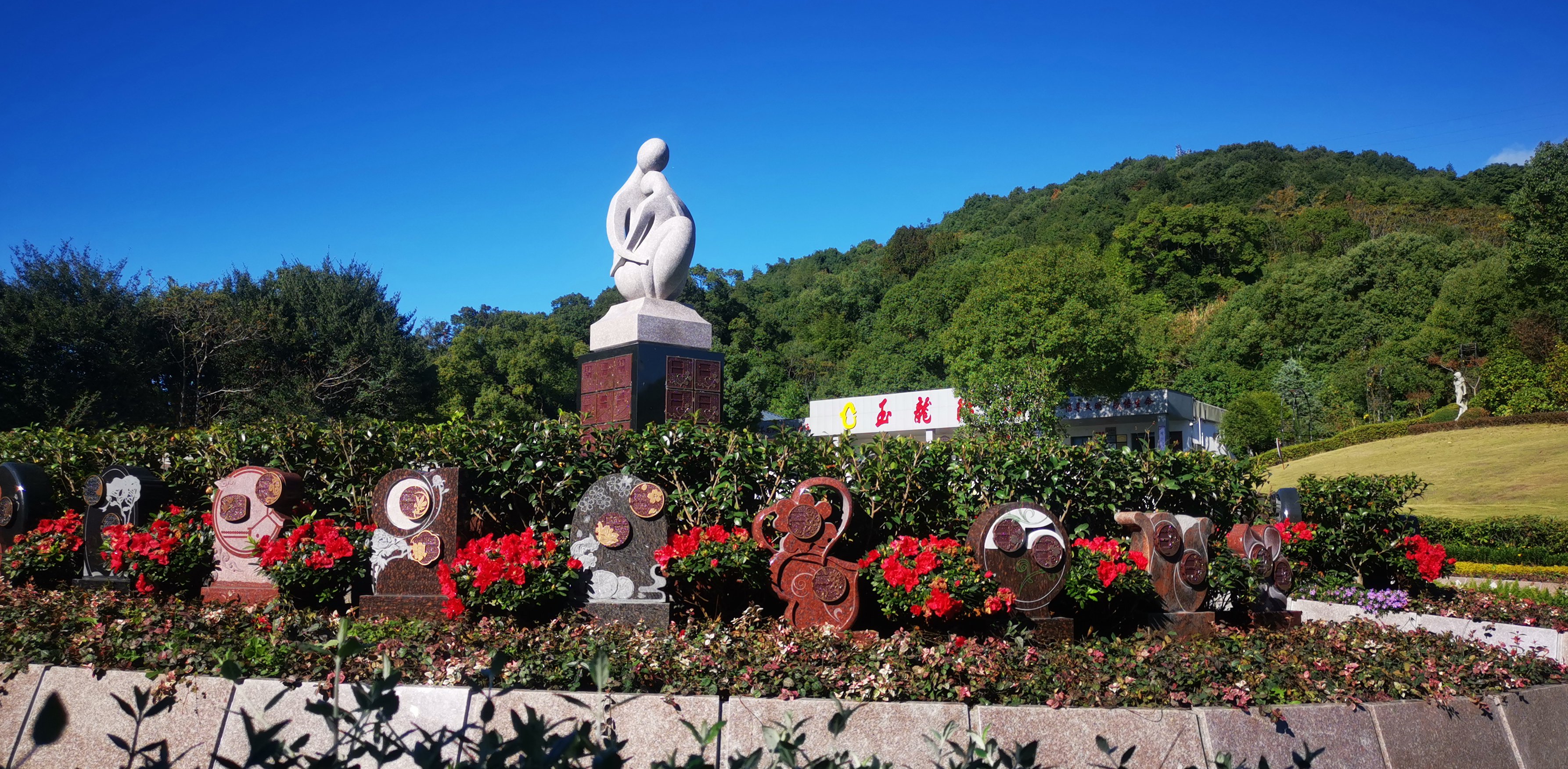 未来，生态葬或将成为主流