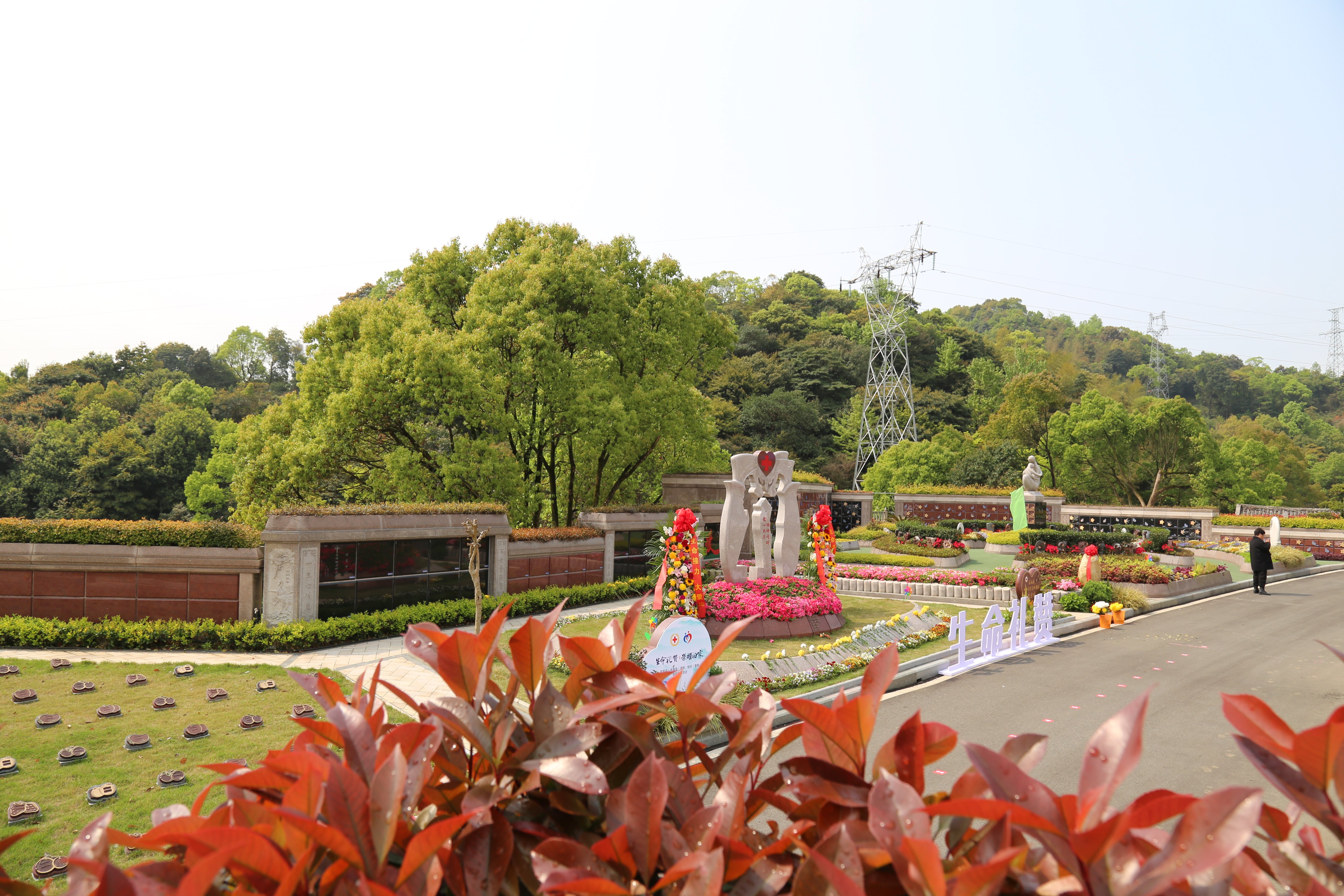 云顶集团(中国区)官方网站