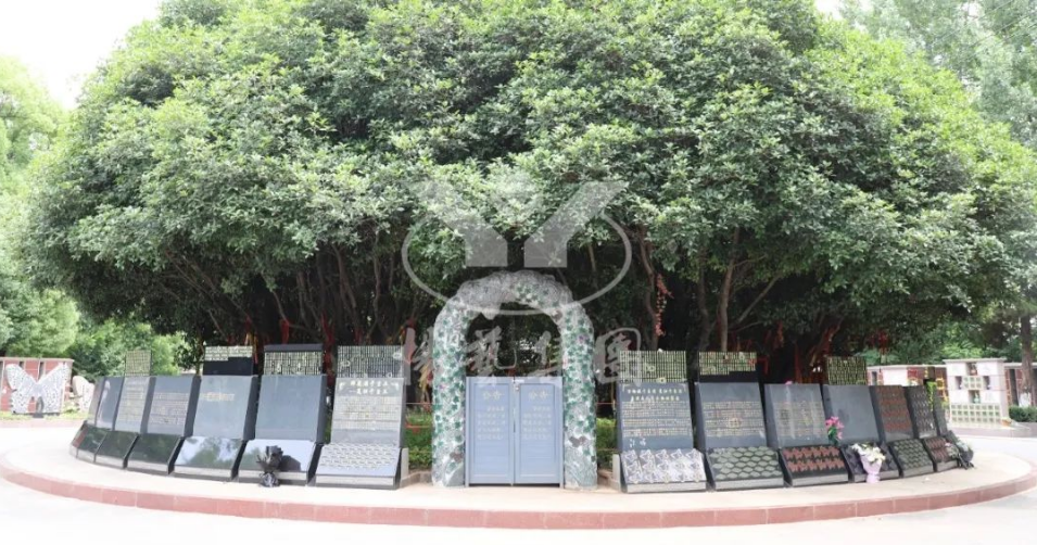 云顶集团(中国区)官方网站