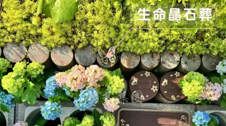 云顶集团(中国区)官方网站