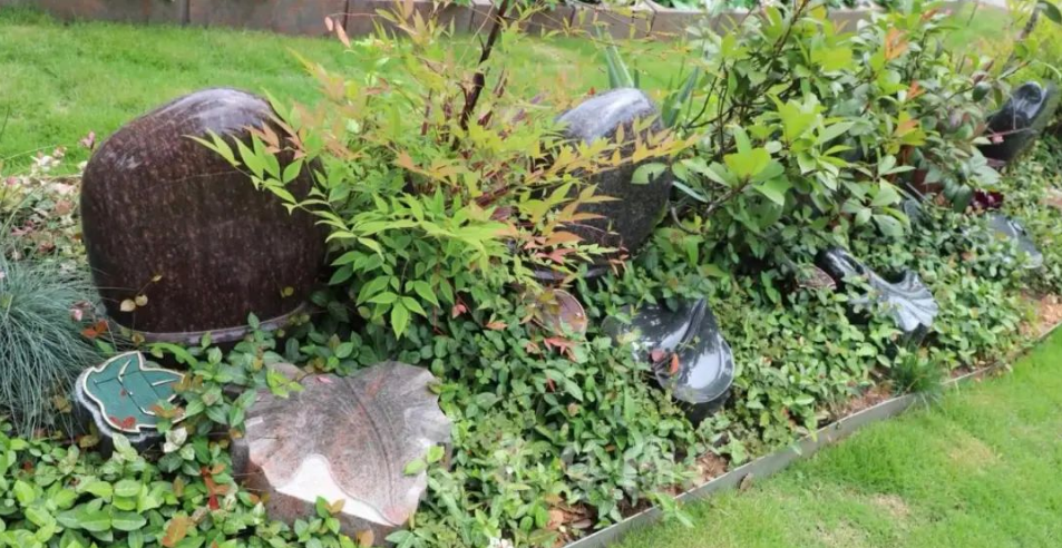 云顶集团(中国区)官方网站