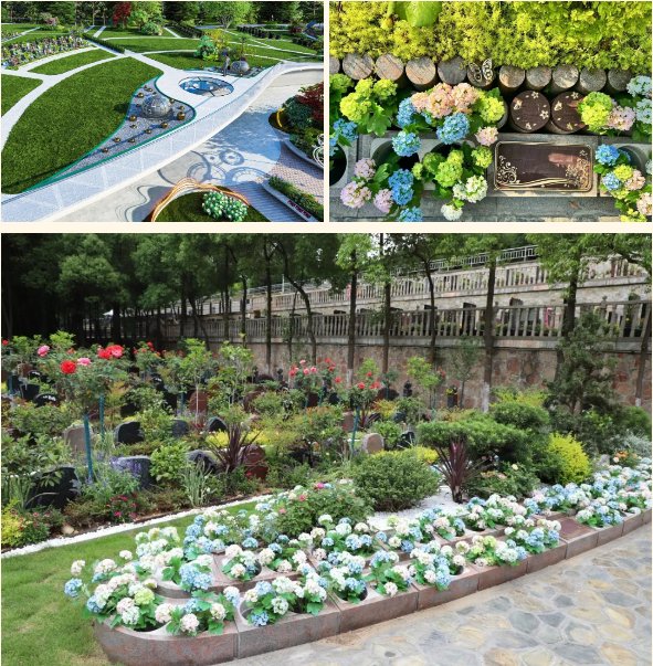 云顶集团(中国区)官方网站