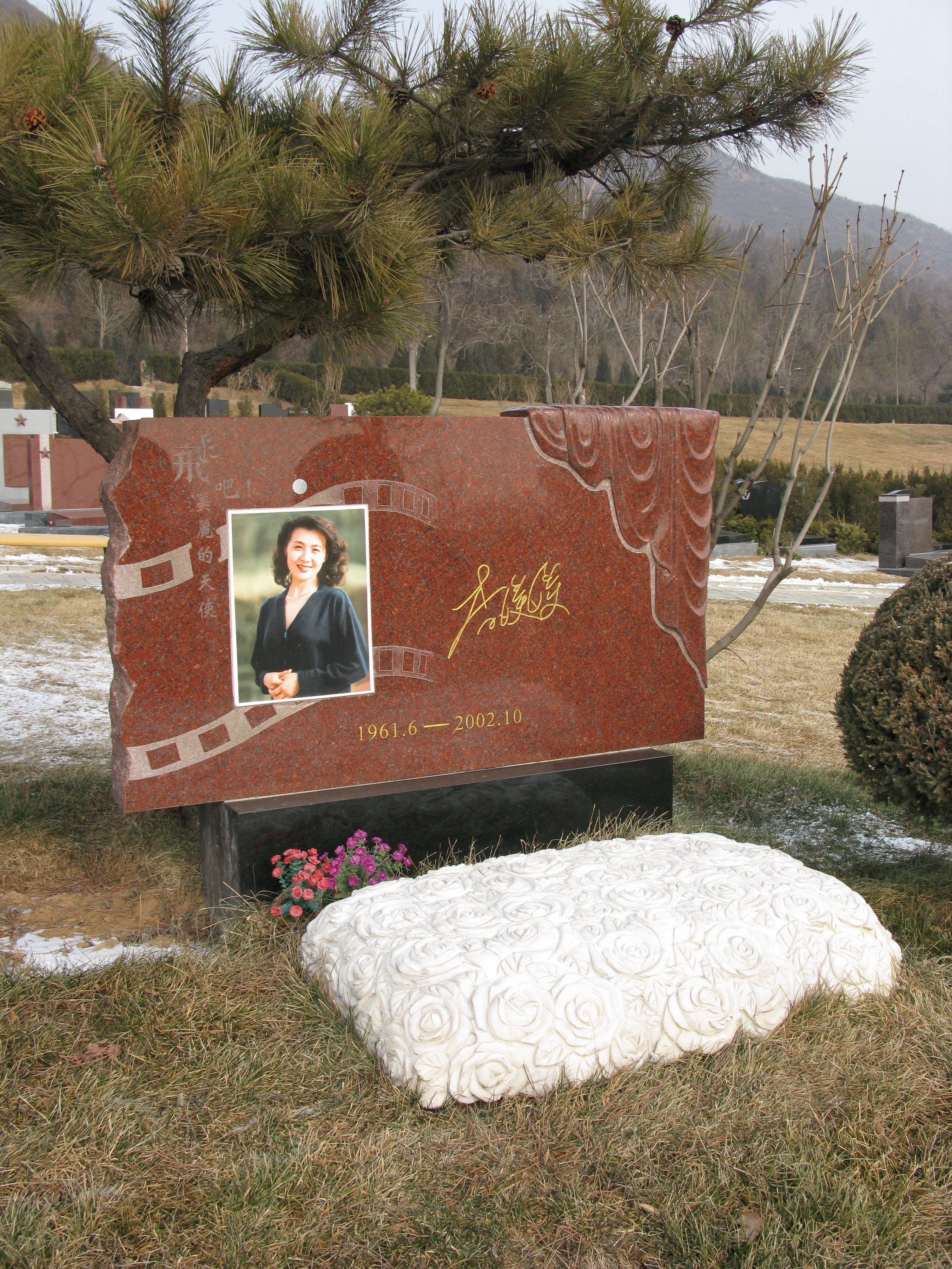 云顶集团(中国区)官方网站